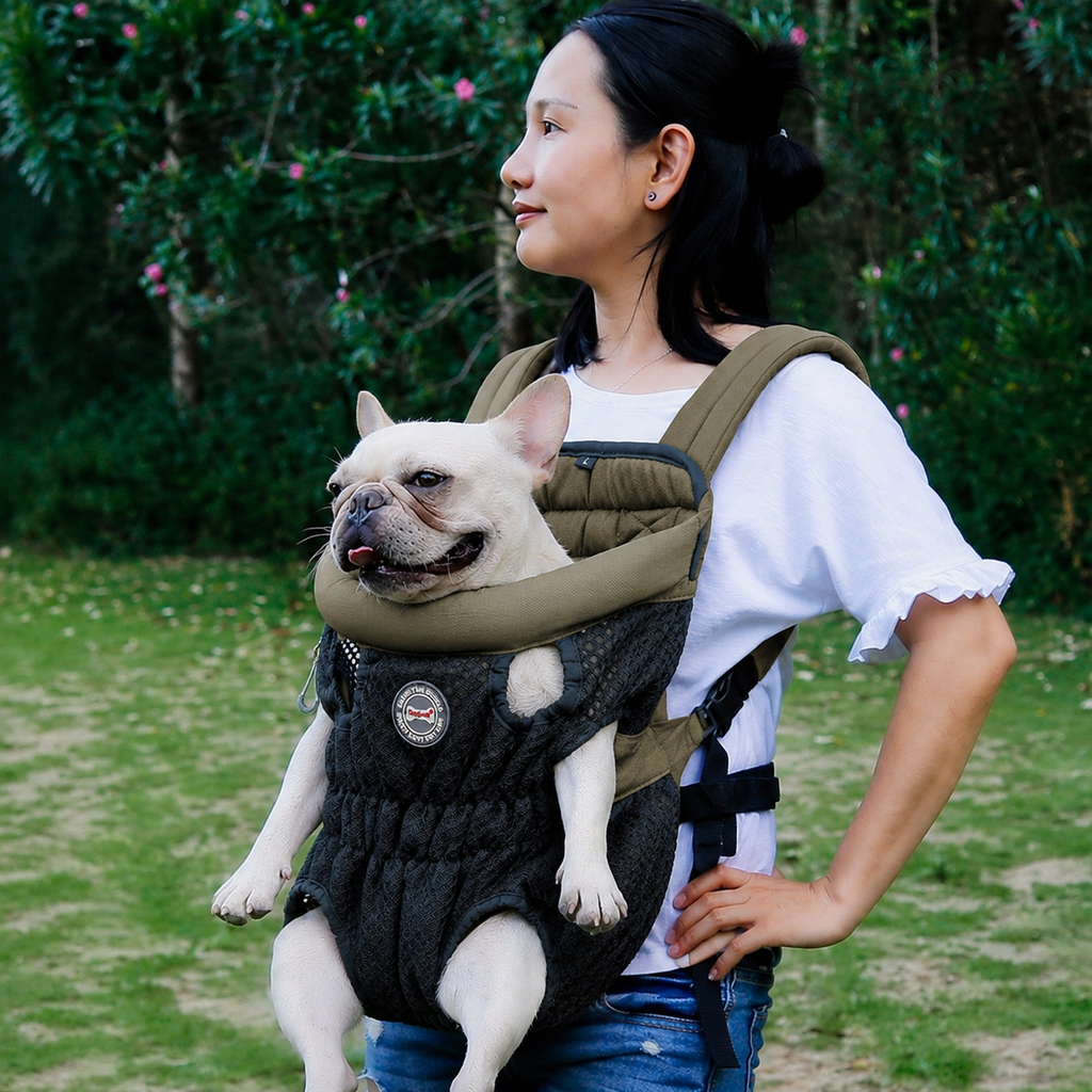 Nehmen Sie Ihr Tier überallhin mit 🐶🎒 – Bequemer & sicherer Rucksack