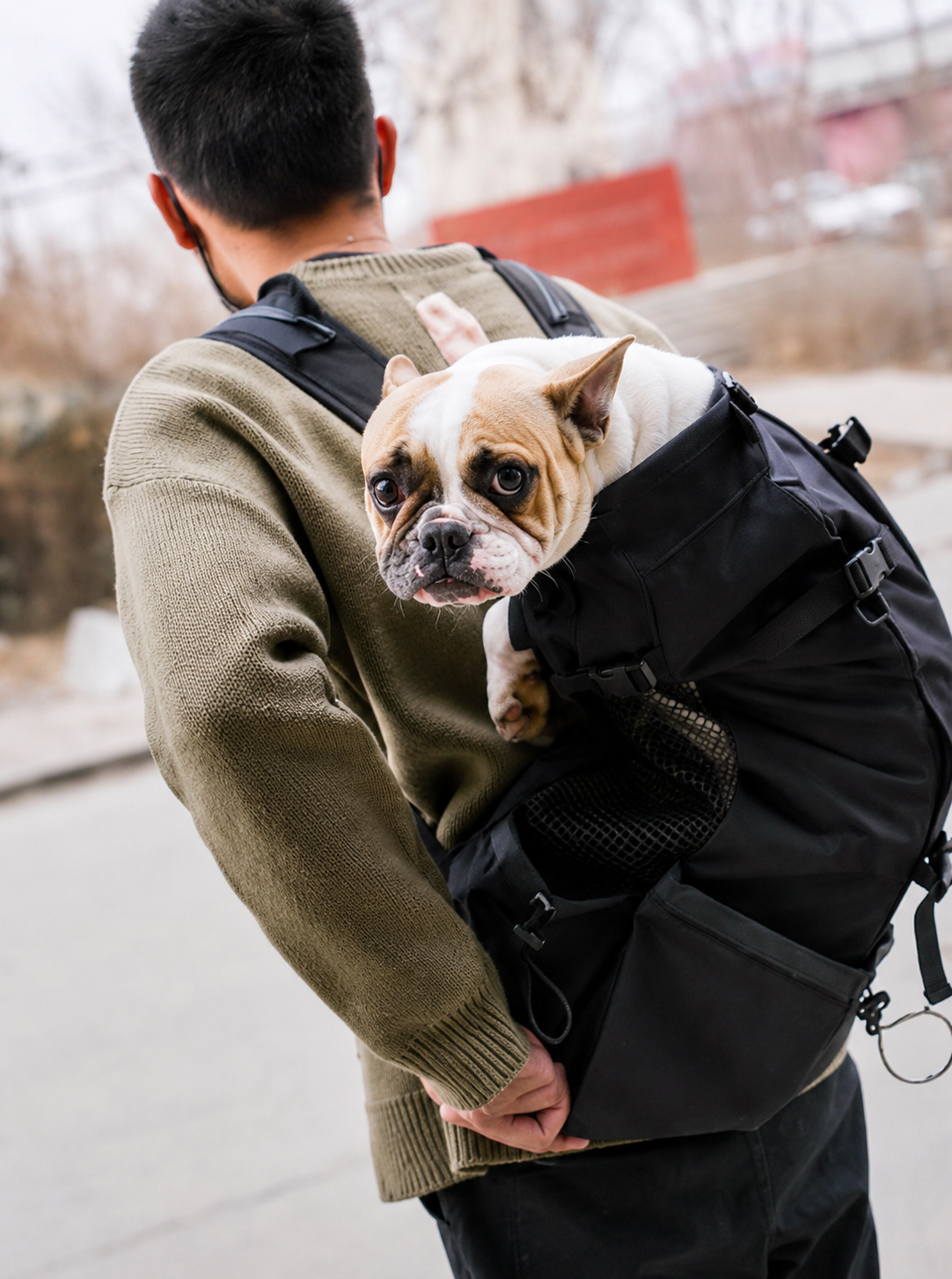 Sac à Dos Outdoor pour Chien & Chat