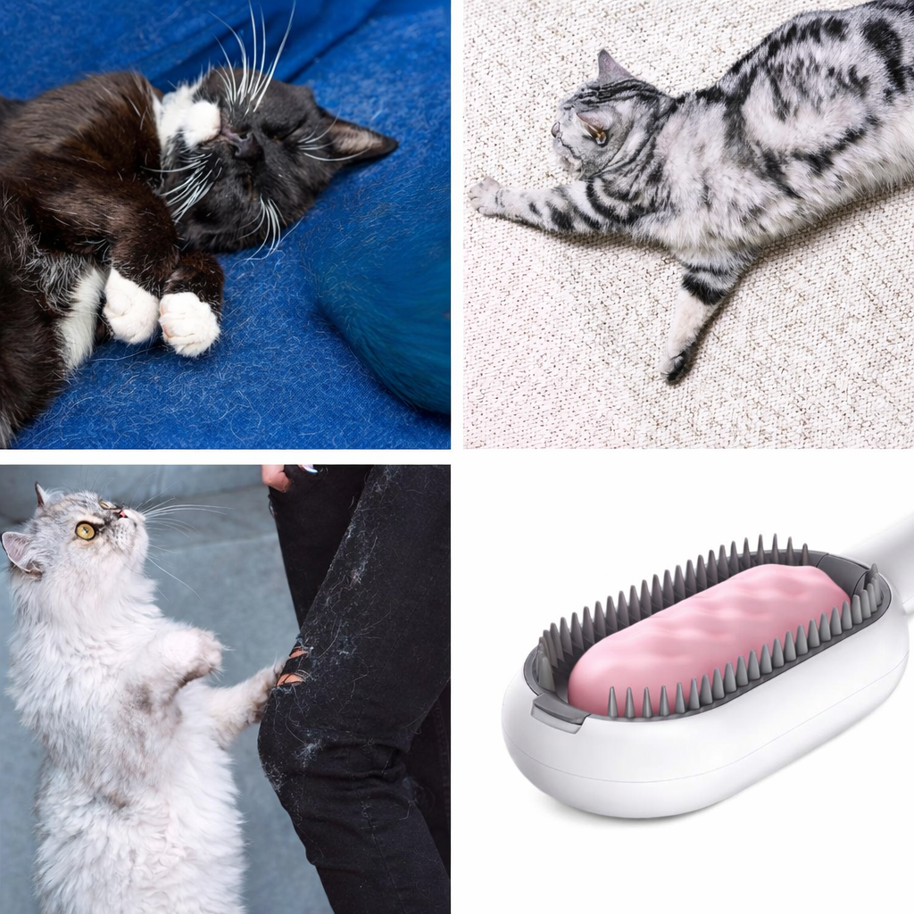 Brosse 4-en-1 pour Chat & Chien – Anti-Poils avec Réservoir d’Eau